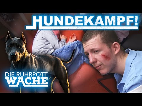 DER "TERRIER" SCHLÄGT ZU: Tödliche Wetten, blutige Schulden |GANZE FOLGE| Die Ruhrpottwache | SAT.1