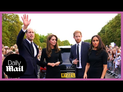 Prince Harry and William, Kate Middleton and Meghan Markle reunite for Windsor Castle walkabout