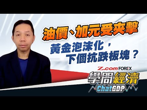 政府停擺是煙幕？俄烏升溫，油價不升反跌，加元弱勢持續？黃金泡沫化，還有另類抗跌板塊？| 羅家聰 學問經濟ChatGDP | Z.com Forex