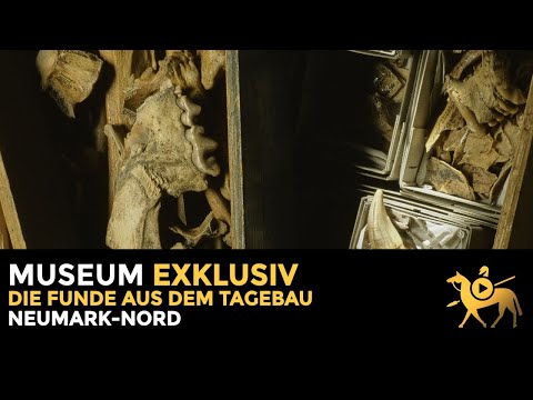 Finds from the Neumark-Nord open-cast mine | Museum exklusive