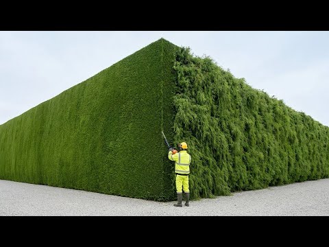 500 Most Satisfying Videos of Workers Doing Their Job Perfectly!