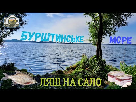 Бурштинське море. Риболовля з ночівлею.  Підлящ на сало!