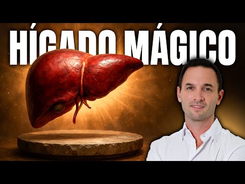 Cómo Regenerar y Desintoxicar el Hígado: Guía Completa con Hábitos, Alimentos y Suplementos