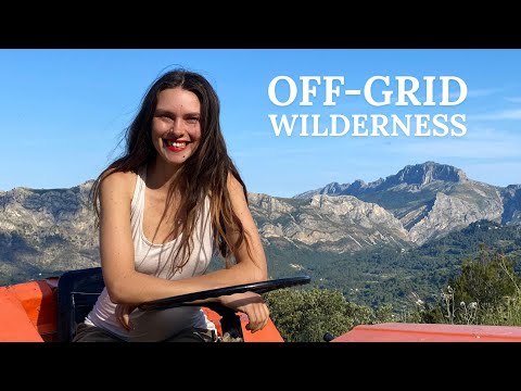 BUILDING our dream OFF-GRID home + BIG NEWS!