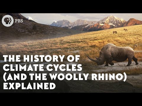 The History of Climate Cycles (and the Woolly Rhino) Explained
