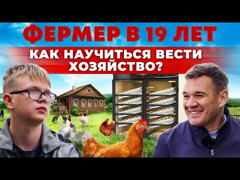 Как правильно разводить птицу? Куры, перепела и их яйца | Российский инкубатор | Андрей Даниленко