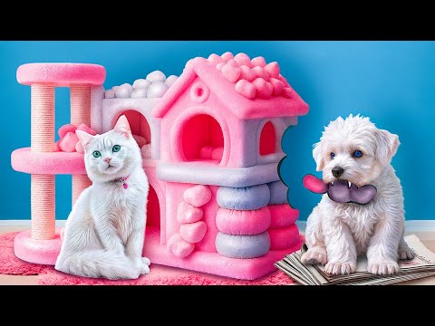 Construímos um quarto secreto para pets! Cachorro pobre vs gato rico