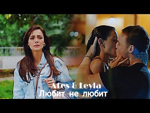 ▪️Любит не любит (ЗАКАЗ) 