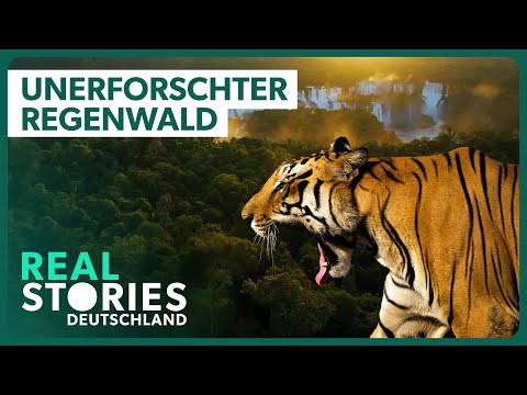 Doku: In den Tiefen des Atlantischen Regenwalds