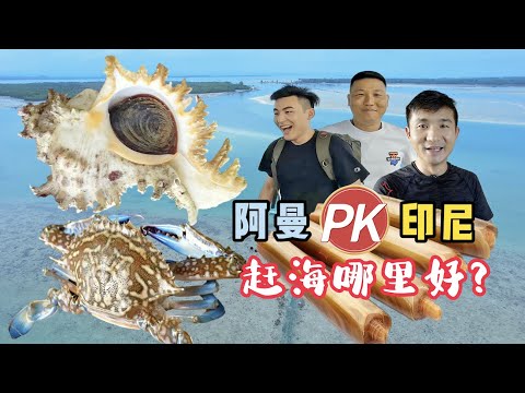《印度尼西亚》第17天:3个男人竟然在赶海时做出这么龌龊的事情!#环球旅行 #旅行 #旅行攻略 #indonesia #印度尼西亚 #赶海