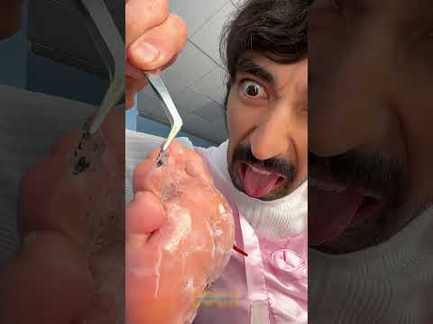 The Great Shoe Escape: A Smelly Friendship Challenge! 😂🦶