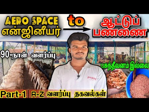 குறைந்த இடத்தில் 130 செம்மறிக்கிடாய்கள் வளர்க்கும் என்ஜினீயர் பட்டதாரி | A-Zகிடாய் வளர்ப்பு தகவல்கள்