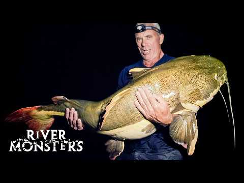 EXTRAORDINARY Fish Caught In The Darkness Of NIGHT | River Monsters