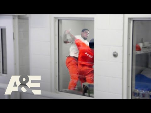 60 Days In: Season 5's Most Memorable Moments | A&E