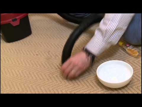 How to Remove Pet Urine From Carpet - Tips From Dry Cleaning Expert