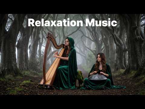 π Mystic Avenue | Deep Handpan & Soft Harp in The Dark Hedges (1-Hour Meditation)