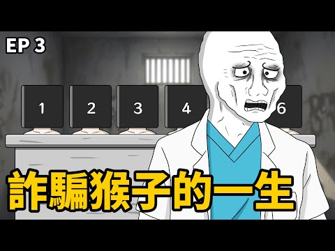 詐騙猴子的一生｜03