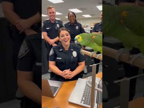 Parrot Roast to Officer Miller 😂 #comedyshorts