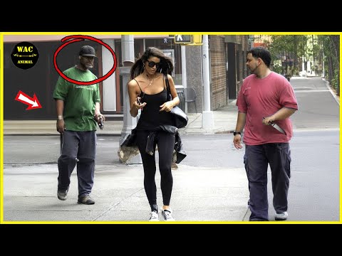 50 Real Life Superheroes Caught on Camera! #21 | Animals That Asked People for Help & Kindness!