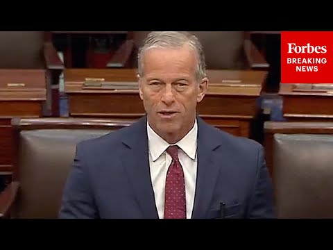 'Pretty Difficult To Understand': John Thune Calls Out Democrats For Opposing Major Stablecoin Bill