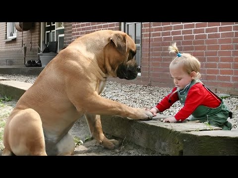 When your dog sees you as their whole world❤️