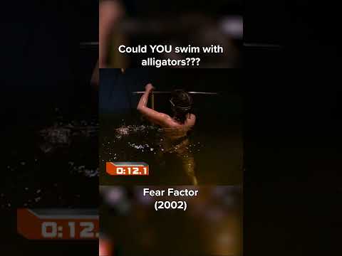 The ladies take on an ALLIGATOR TANK for stunt 3 of the Championship! Full vid on page. #FearFactor