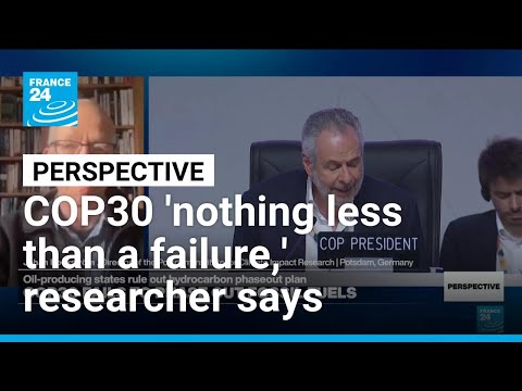 'Scientifically, COP30 has been nothing less than a failure,' researcher says • FRANCE 24 English