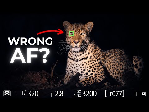 Top Mistakes Pros Avoid for Sharper Photos