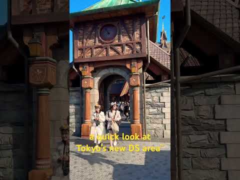 Tokyo's New DS Area Revealed