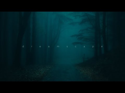 leadwave - memories (1 hour loop)