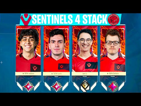 When 4 Sentinels Stack DOMINATE In Rank 💀💀 | Tarik, Zekken, Zellsis, Reduxx In One Team