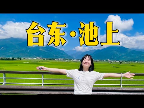 【台湾旅行】台东池上一日游，在蒋勋书房听老师讲金刚经，在伯朗大道骑自行车闻稻香，打卡池上必吃美食