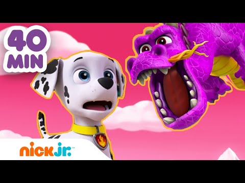 Paw Patrol | 40 MIN della Squadra dei Cuccioli che Salva dei Carinissimi Animali! | Nick Jr.