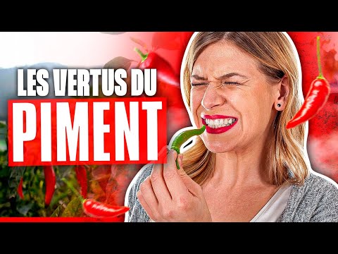 Le piment, l'épice la plus consommée au monde