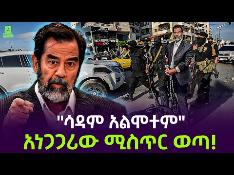 የሳዳም የመጨረሻዎቹ ሰአታት Salon Terek