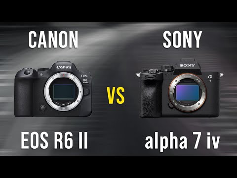 Canon EOS R6 ii vs Sony alpha 7 IV مقایسه دوربین های سونی و کانن