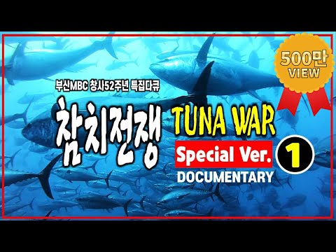 태평양 참치잡이 전쟁 풀 스토리! 만선을 노리는 한국 어선 올림피아호의 고군분투기/목표는 1000톤/대형참치잡이/(명품다큐멘터리)