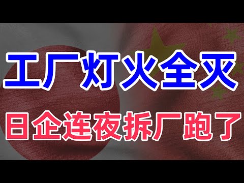 日本企业加速逃离中国：从丰田、本田到松下，大规模撤资潮背后的制造业崩塌与地缘政治风险全景审判