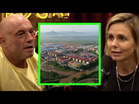 Scam Factories - Chinese Gangs Are Using Slave Labor to Commit Online Fraud