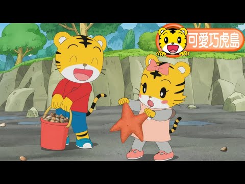 卡通【可愛巧虎島】令人驚訝的挖蛤蜊之行