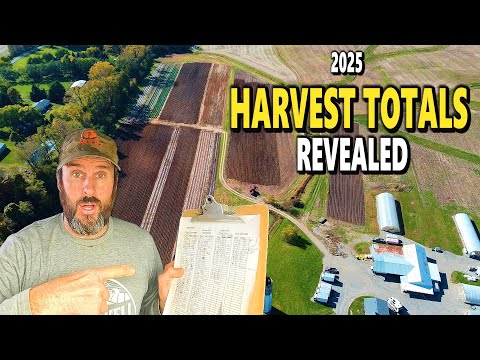 Revealing Our 2025 Veggie Yields: How Our Season Really Turned Out