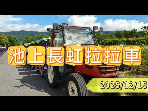 桃園環島之旅貴賓旅遊團--池上長虹拉拉車 2025/12/15