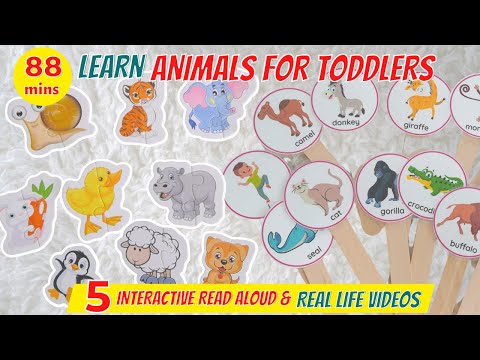 Learn Animals Names and Sounds | ABC Animals | Learning Videos for Toddlers | Read Aloud Books