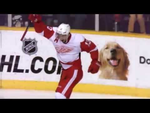 Pavel Datsyuk FULL NHL Career Highlights: 2001-2016