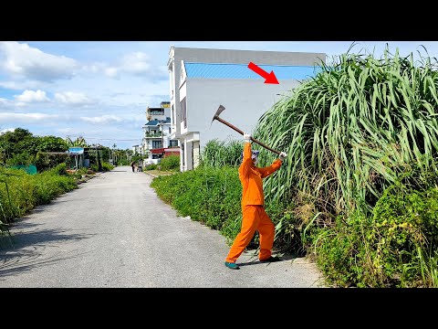 (FULL) No One Dare Walk on the Sidewalk for Years – You Won't Believe What We Found Under the Weeds!