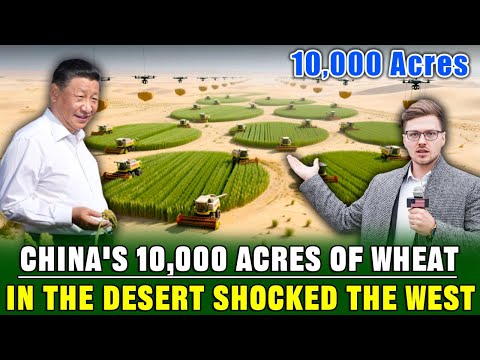 West Mocked China for Growing 10,000 Acres of Wheat in the Desert | Now Everyone Shut Up!