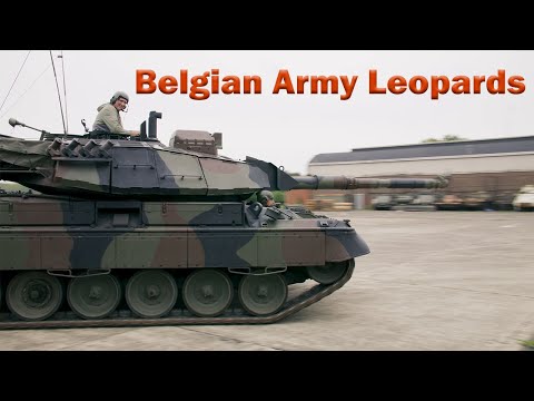 The history of the Belgian Leopard and its variants