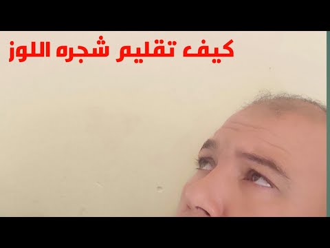 كيف تقليم شجره اللوز