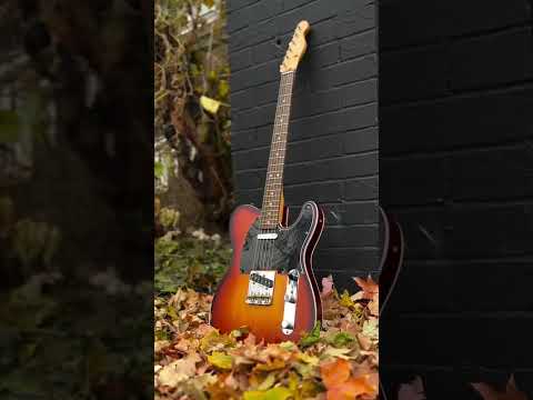 Everything Fender At Twin Town Guitars