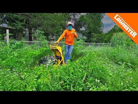 She PRAYED for a LAWN CREW Just Before We Showed Up!